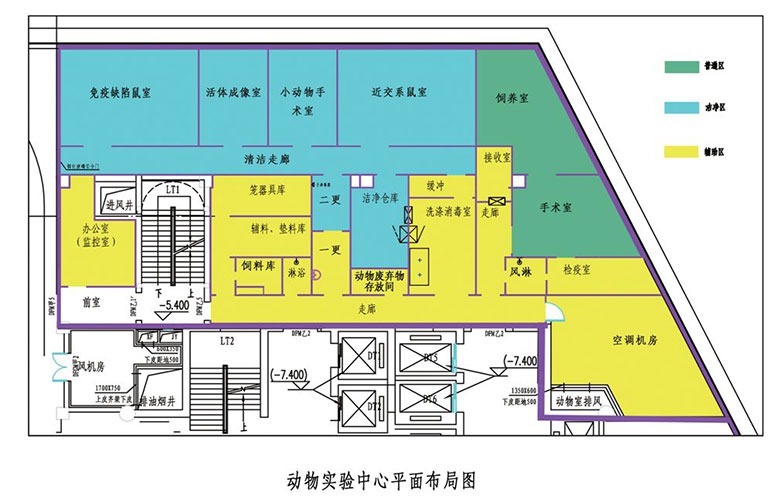 動物實(shí)驗(yàn)室設(shè)計(jì)布局圖